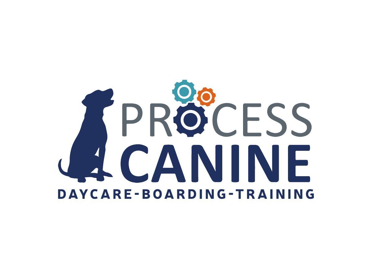 Process Canine